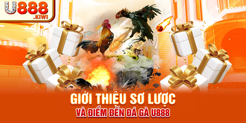 Giới thiệu sơ lược và điểm đến Đá gà U888